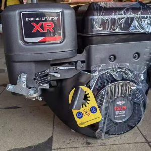 Briggs and Stratton Gas Engine